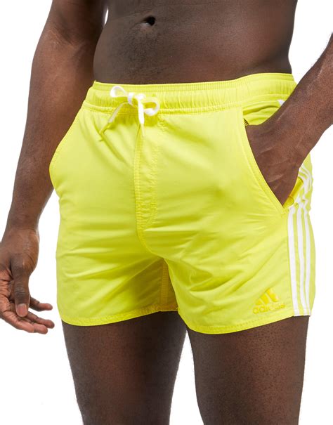 adidas men's swim shorts